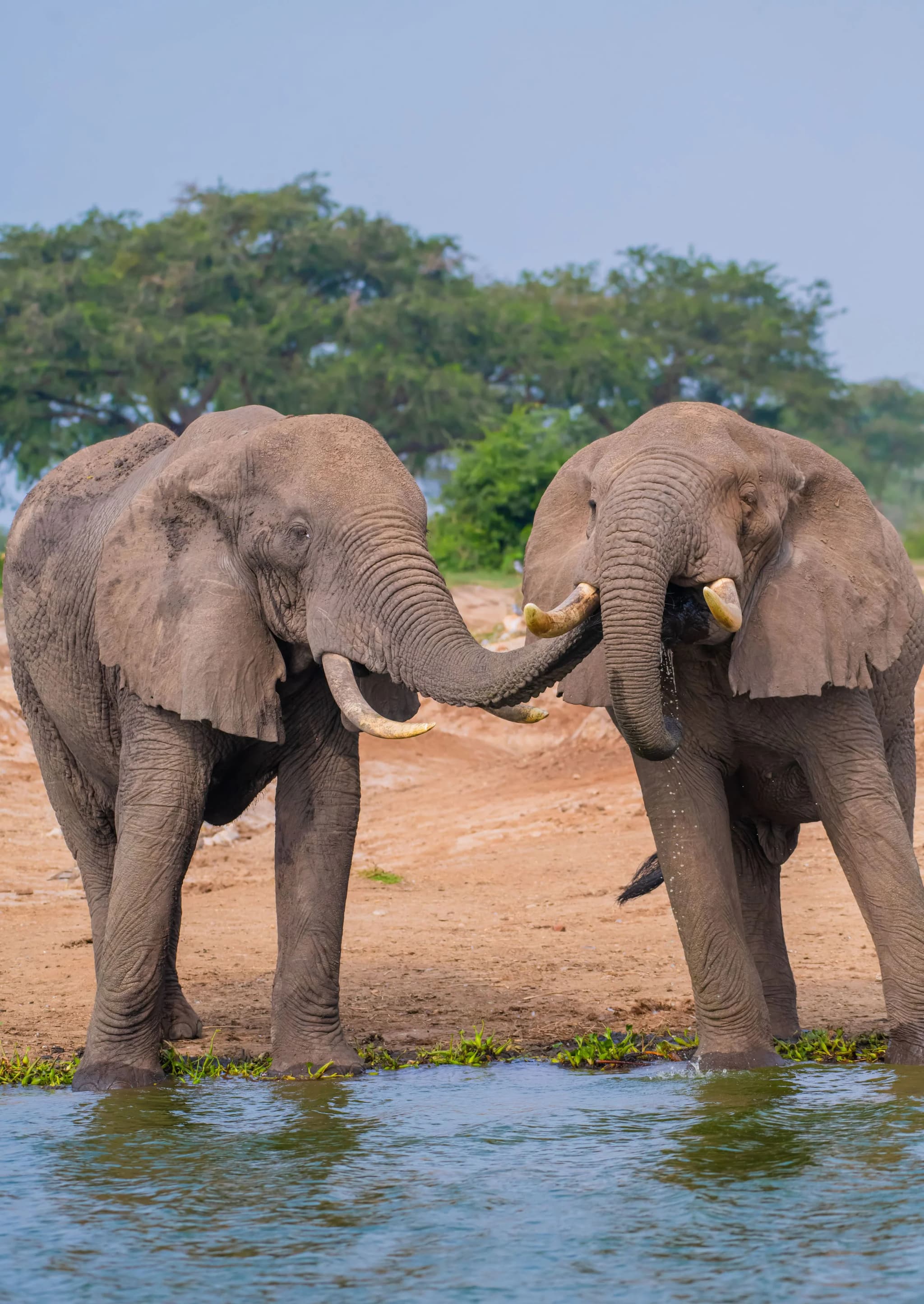 3-Days Murchison Falls National Park