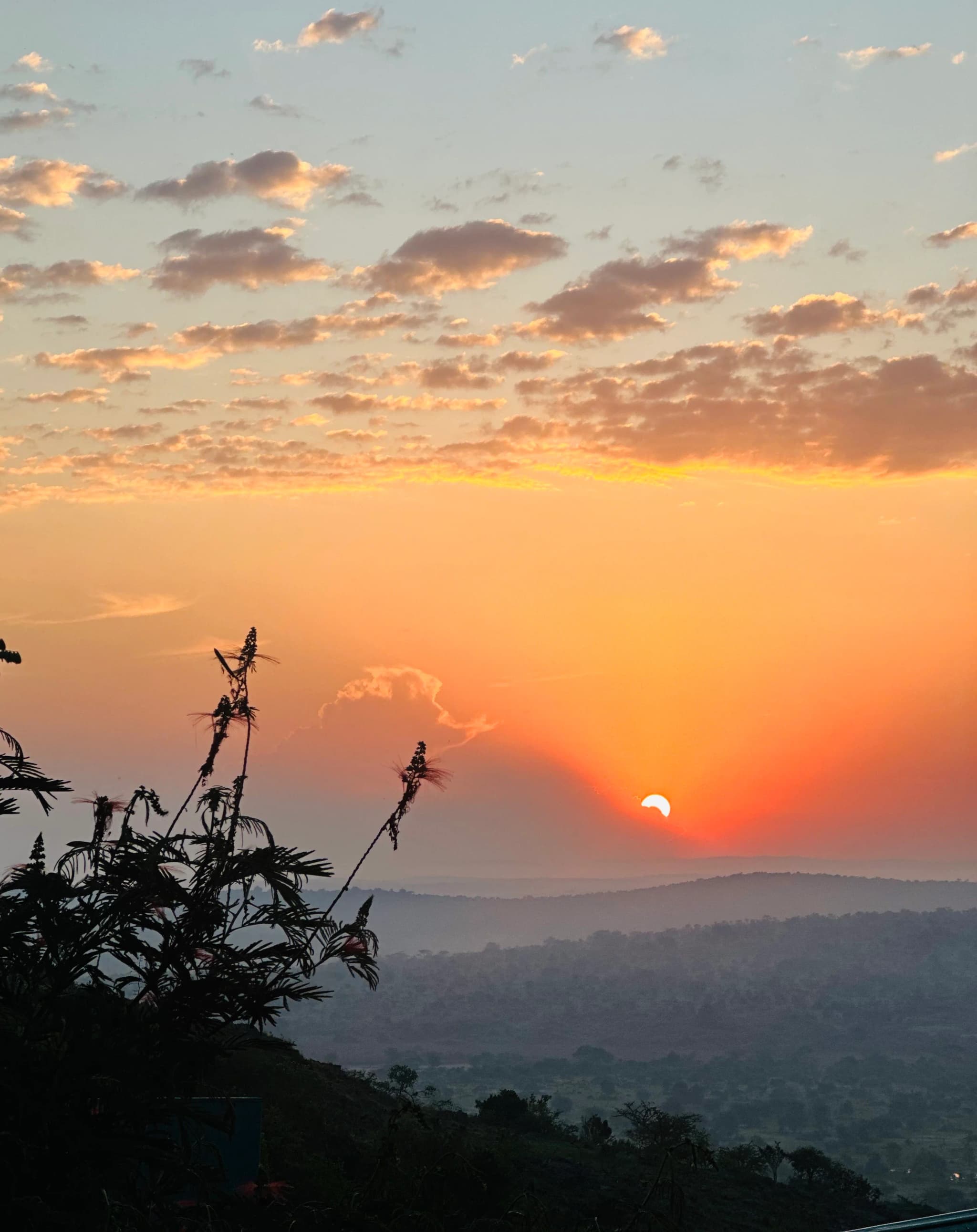 10-Days Mountain Rwenzori Expedition